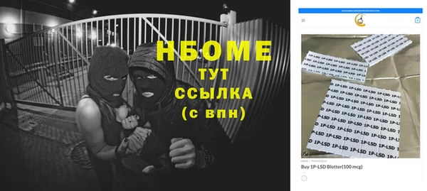 индика Алексин