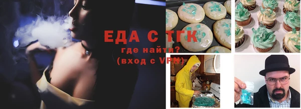 индика Алексин