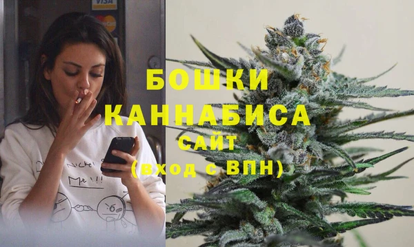 индика Алексин