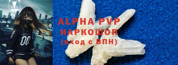 индика Алексин