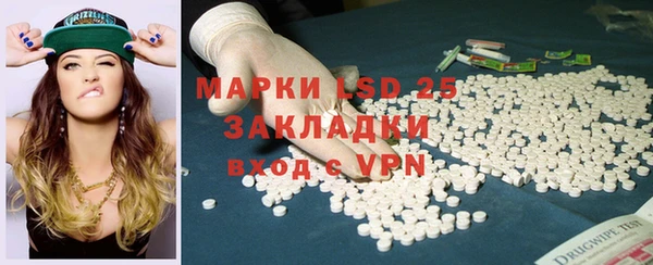 индика Алексин