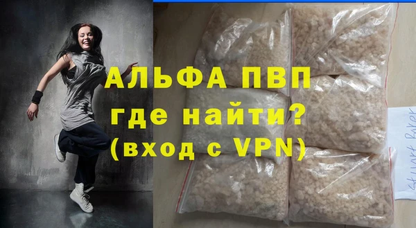 индика Алексин