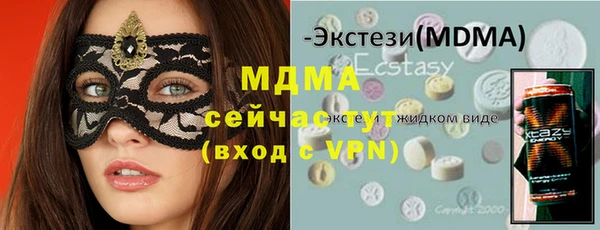 индика Алексин