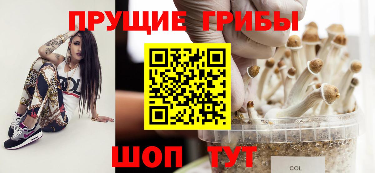 где купить   Вход с VPN  Десногорск  Галлюциногенные грибы GOLDEN TEACHER 
